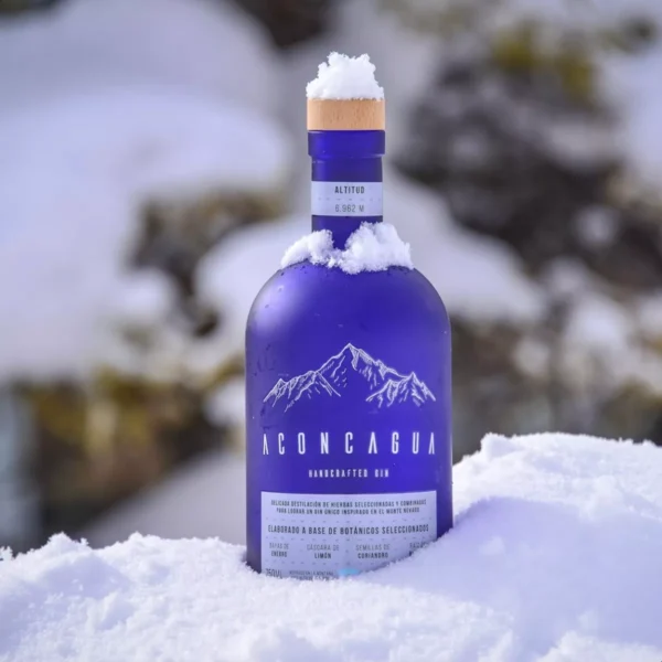 Gin Aconcagua (azul) - Image 3